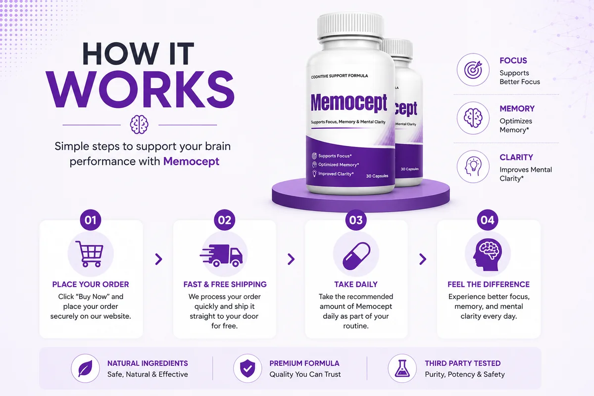 How Memocept supports memory and focus — one daily capsule supporting circulation, acetylcholine, membranes and mood-cognition overlap